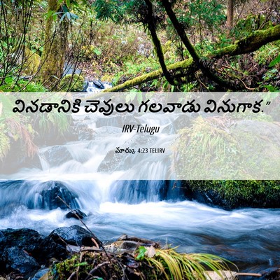 Picture 06 - మార్కు 4:23 TELIRV - వినడానికి చెవులు - Bible Verse Picture