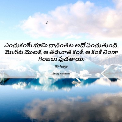 Picture 06 - మార్కు 4:28 TELIRV - ఎందుకంటే భూమి - Bible Verse Picture
