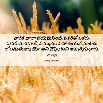 Picture 06 - మార్కు 4:41 TELIRV - వారికి చాలా - Bible Verse Picture