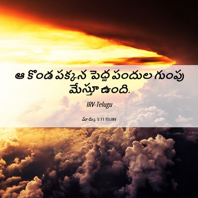 Picture 06 - మార్కు 5:11 TELIRV - ఆ కొండ పక్కన పెద్ద - Bible Verse Picture