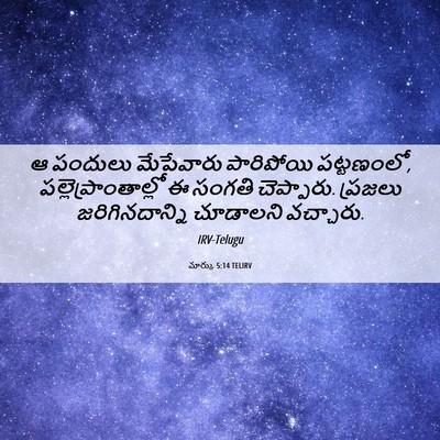 Picture 06 - మార్కు 5:14 TELIRV - ఆ పందులు మేపేవారు - Bible Verse Picture