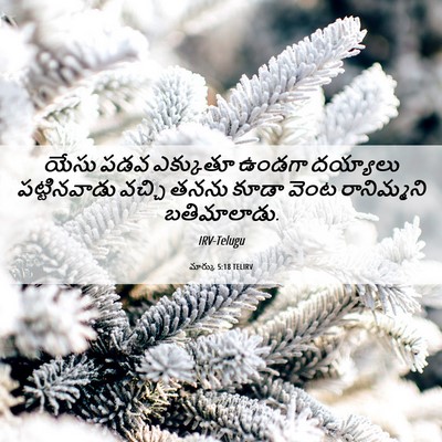 Picture 06 - మార్కు 5:18 TELIRV - యేసు పడవ ఎక్కుతూ - Bible Verse Picture