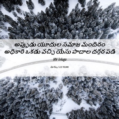 Picture 06 - మార్కు 5:22 TELIRV - అప్పుడు యూదుల - Bible Verse Picture