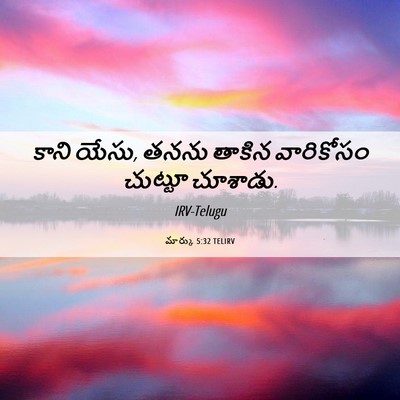 Picture 06 - మార్కు 5:32 TELIRV - కాని యేసు, తనను - Bible Verse Picture