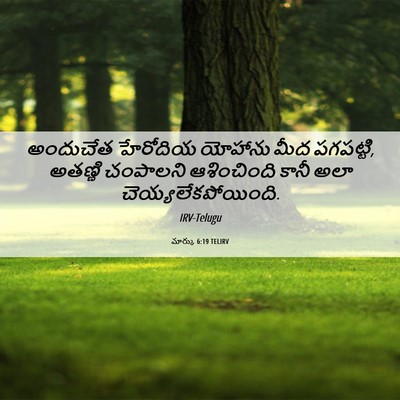 Picture 06 - మార్కు 6:19 TELIRV - అందుచేత హేరోదియ - Bible Verse Picture