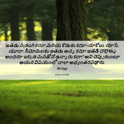 Picture 06 - మార్కు 6:3 TELIRV - ఇతడు వడ్రంగి కదూ! - Bible Verse Picture