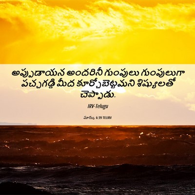 Picture 06 - మార్కు 6:39 TELIRV - అప్పుడాయన అందరినీ - Bible Verse Picture