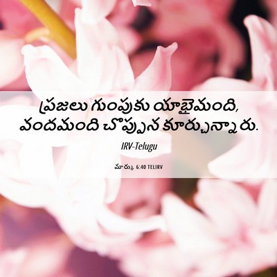 Picture 06 - మార్కు 6:40 TELIRV - ప్రజలు గుంపుకు - Bible Verse Picture