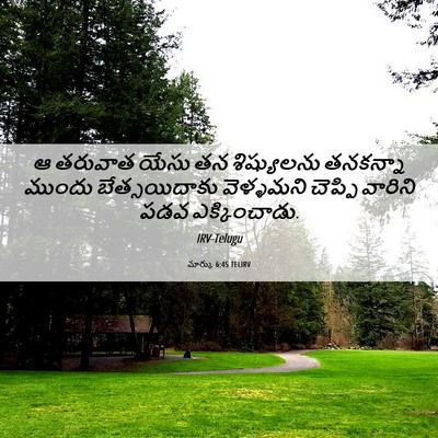 Picture 06 - మార్కు 6:45 TELIRV - ఆ తరువాత యేసు తన - Bible Verse Picture