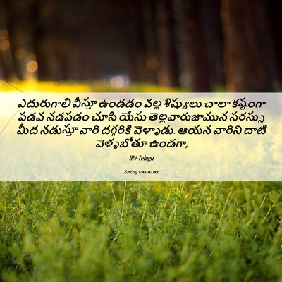 Picture 06 - మార్కు 6:48 TELIRV - ఎదురుగాలి వీస్తూ - Bible Verse Picture