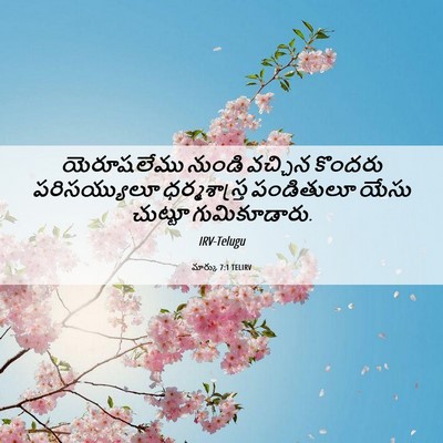 Picture 06 - మార్కు 7:1 TELIRV - యెరూషలేము నుండి - Bible Verse Picture