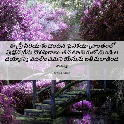 Picture 06 - మార్కు 7:26 TELIRV - ఈ స్త్రీ సిరియాకు - Bible Verse Picture