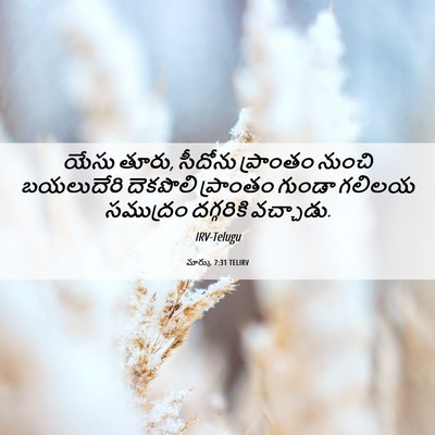 Picture 06 - మార్కు 7:31 TELIRV - యేసు తూరు, సీదోను - Bible Verse Picture