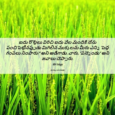 Picture 06 - మార్కు 8:19 TELIRV - ఐదు రొట్టెలు - Bible Verse Picture