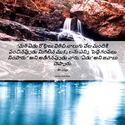 Picture 06 - మార్కు 8:20 TELIRV - “మరి ఏడు రొట్టెలు - Bible Verse Picture