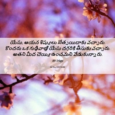 Picture 06 - మార్కు 8:22 TELIRV - యేసు, ఆయన శిష్యులు - Bible Verse Picture