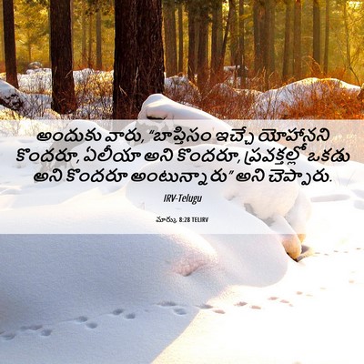 Picture 06 - మార్కు 8:28 TELIRV - అందుకు వారు, - Bible Verse Picture