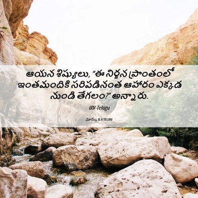 Picture 06 - మార్కు 8:4 TELIRV - ఆయన శిష్యులు, “ఈ - Bible Verse Picture
