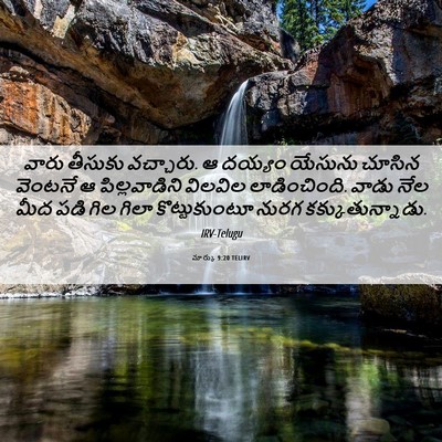 Picture 06 - మార్కు 9:20 TELIRV - వారు తీసుకు - Bible Verse Picture