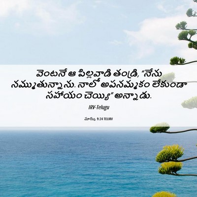 Picture 06 - మార్కు 9:24 TELIRV - వెంటనే ఆ - Bible Verse Picture