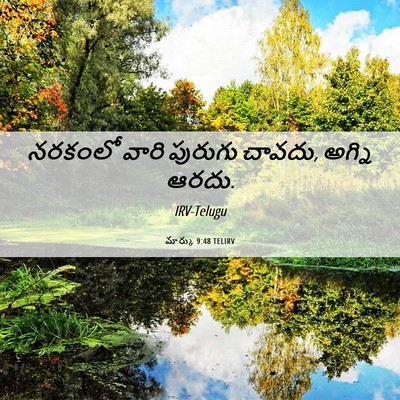 Picture 06 - మార్కు 9:48 TELIRV - నరకంలో వారి - Bible Verse Picture