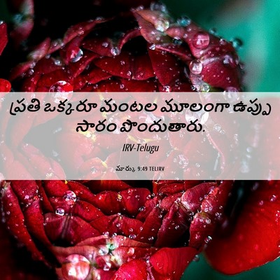 Picture 06 - మార్కు 9:49 TELIRV - ప్రతి ఒక్కరూ మంటల - Bible Verse Picture