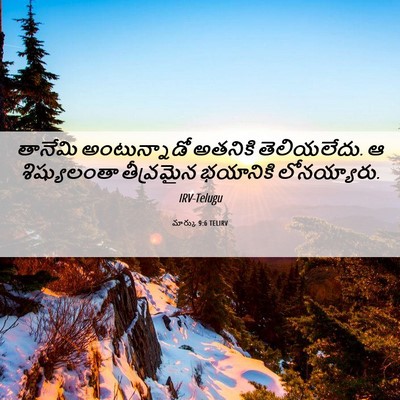 Picture 06 - మార్కు 9:6 TELIRV - తానేమి అంటున్నాడో - Bible Verse Picture