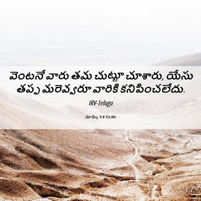 Picture 06 - మార్కు 9:8 TELIRV - వెంటనే వారు తమ - Bible Verse Picture