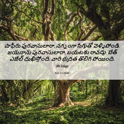 Picture 06 - మీకా 1:11 TELIRV - షాఫీరు - Bible Verse Picture
