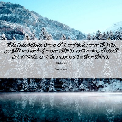 Picture 06 - మీకా 1:6 TELIRV - నేను సమరయను పొలం - Bible Verse Picture