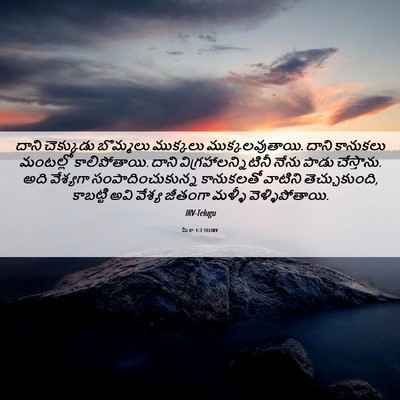 Picture 06 - మీకా 1:7 TELIRV - దాని చెక్కుడు - Bible Verse Picture