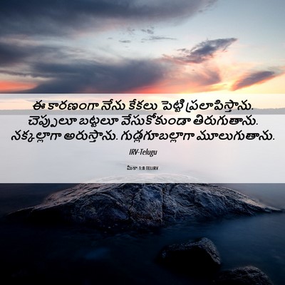 Picture 06 - మీకా 1:8 TELIRV - ఈ కారణంగా నేను - Bible Verse Picture