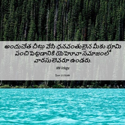 Picture 06 - మీకా 2:5 TELIRV - అందుచేత చీట్లు - Bible Verse Picture