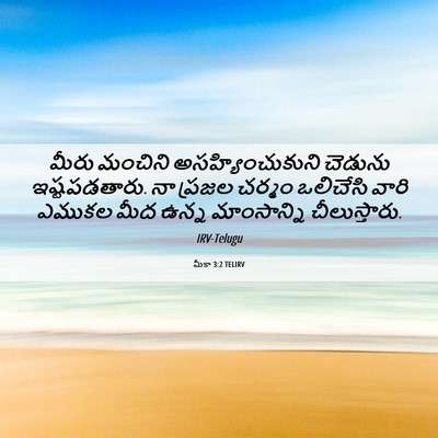 Picture 06 - మీకా 3:2 TELIRV - మీరు మంచిని - Bible Verse Picture