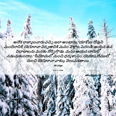 Picture 06 - మీకా 4:2 TELIRV - అనేక రాజ్యాలవారు - Bible Verse Picture