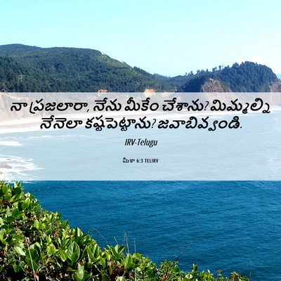 Picture 06 - మీకా 6:3 TELIRV - నా ప్రజలారా, నేను - Bible Verse Picture