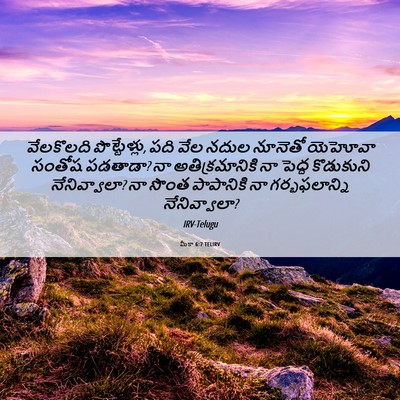 Picture 06 - మీకా 6:7 TELIRV - వేలకొలది - Bible Verse Picture