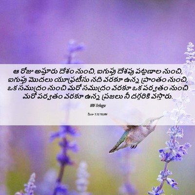 Picture 06 - మీకా 7:12 TELIRV - ఆ రోజు అష్షూరు - Bible Verse Picture