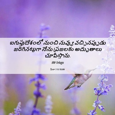 Picture 06 - మీకా 7:15 TELIRV - ఐగుప్తుదేశంలో - Bible Verse Picture