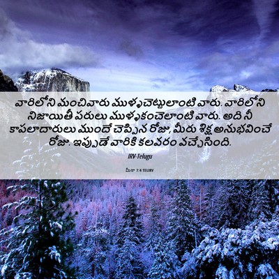 Picture 06 - మీకా 7:4 TELIRV - వారిలోని మంచివారు - Bible Verse Picture