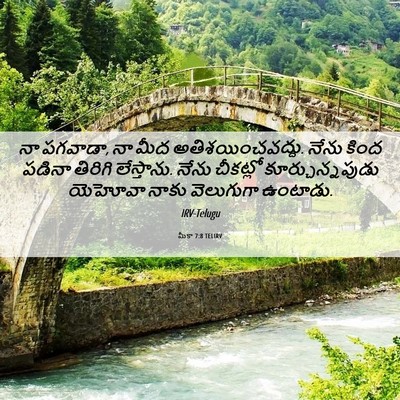 Picture 06 - మీకా 7:8 TELIRV - నా పగవాడా, నా మీద - Bible Verse Picture