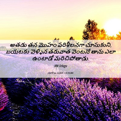 Picture 06 - యాకోబు పత్రిక 1:24 TELIRV - అతడు తన మొహం - Bible Verse Picture