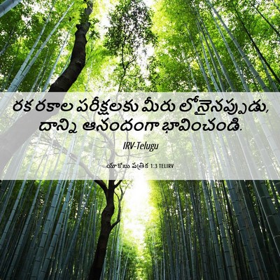 Picture 06 - యాకోబు పత్రిక 1:3 TELIRV - రక రకాల పరీక్షలకు - Bible Verse Picture