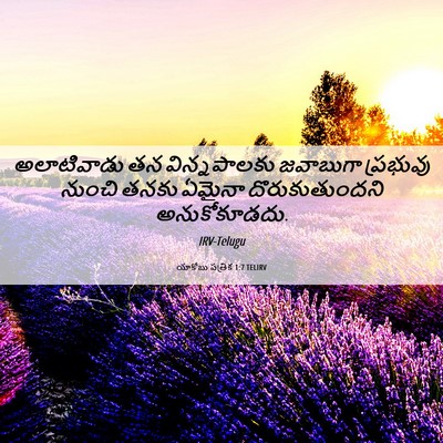 Picture 06 - యాకోబు పత్రిక 1:7 TELIRV - అలాటివాడు తన - Bible Verse Picture