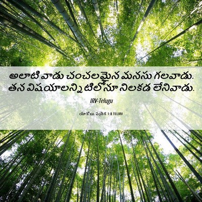 Picture 06 - యాకోబు పత్రిక 1:8 TELIRV - అలాటి వాడు - Bible Verse Picture