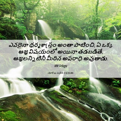 Picture 06 - యాకోబు పత్రిక 2:10 TELIRV - ఎవరైనా - Bible Verse Picture