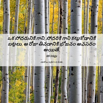 Picture 06 - యాకోబు పత్రిక 2:15 TELIRV - ఒక సోదరునికి గాని, - Bible Verse Picture