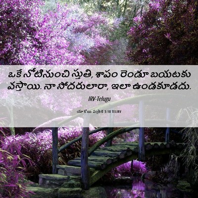 Picture 06 - యాకోబు పత్రిక 3:10 TELIRV - ఒకే నోటినుంచి - Bible Verse Picture