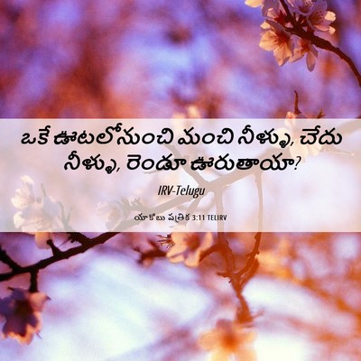 Picture 06 - యాకోబు పత్రిక 3:11 TELIRV - ఒకే ఊటలోనుంచి - Bible Verse Picture