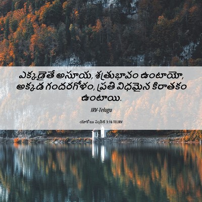 Picture 06 - యాకోబు పత్రిక 3:16 TELIRV - ఎక్కడైతే అసూయ, - Bible Verse Picture
